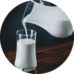 Dairy and Egg Products